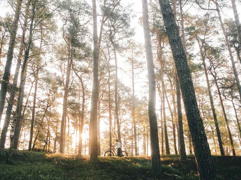 DECEMBRE 2021 – Programme&nbsp;cyclo